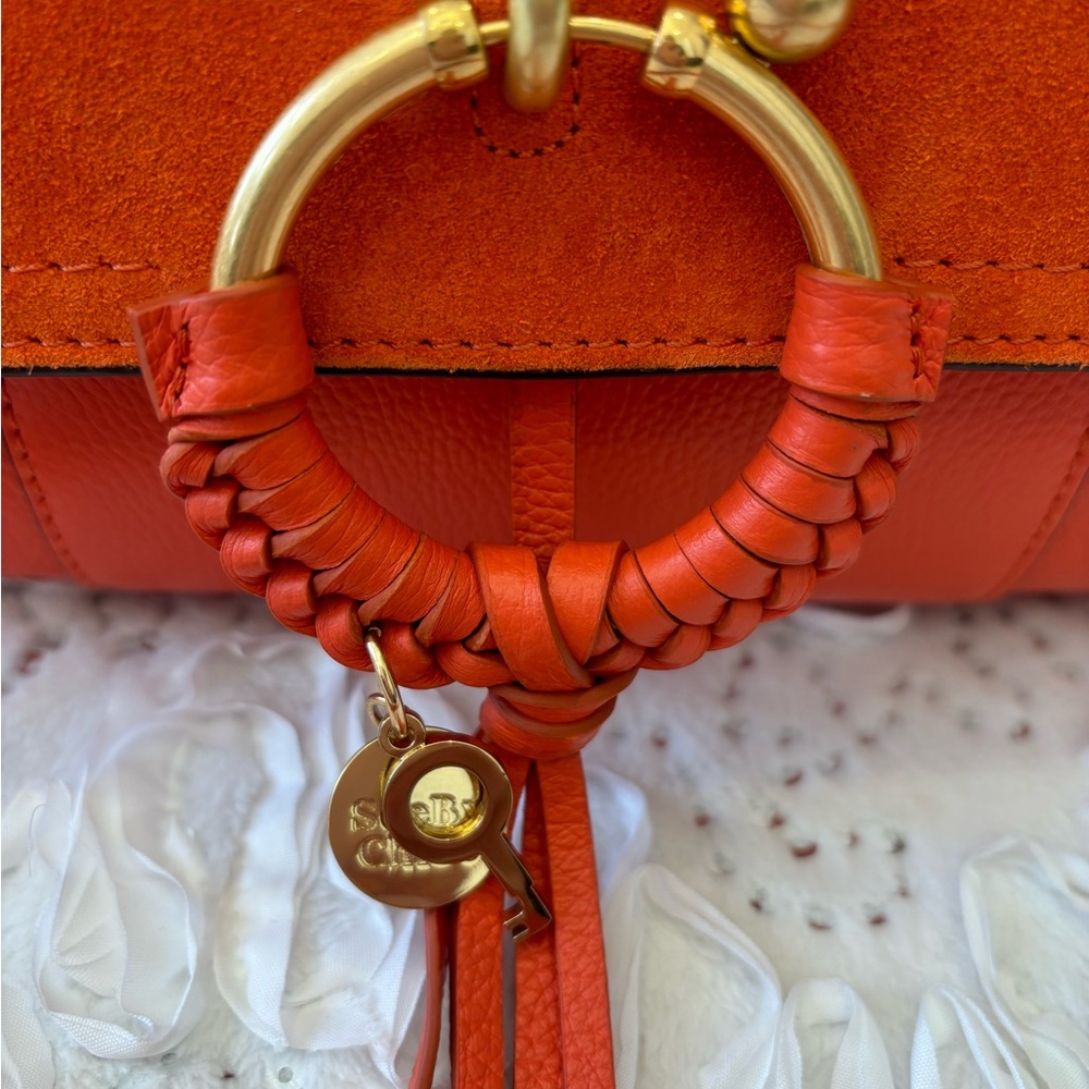 ❤️❤️❤️CHANCE TO WIN❤️❤️❤️This listing is for a chance to win SEE BY CHLOE BAG! - Picture 5 of 11